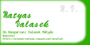 matyas valasek business card
